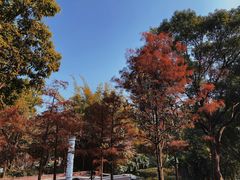 -深圳国际园林花卉博览园