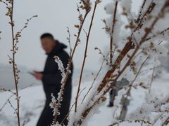 -雾凇岛