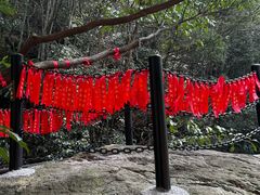 -长谷洞天