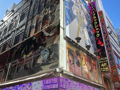 -秋叶原电器街