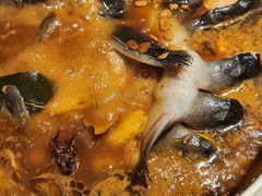 -红井路游艺炖锅·音乐餐吧(十渡店)