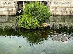 -重元寺香积厨素斋馆