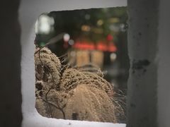 -扫雪煮茶(西村店)