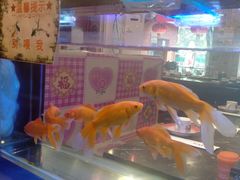 -粗粮人家·东北菜(洋桥店)