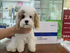 -它主义宠物(梁溪万达店)