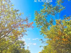 -北运河水利风景区