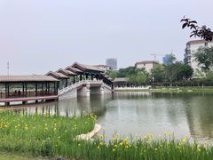 -西海子公园