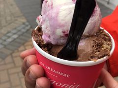 -Patagonia Chocolates(皇后镇店)