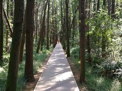 -同里国家湿地公园