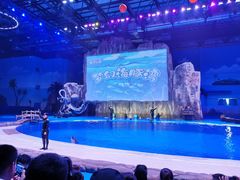 -华夏文旅海洋公园