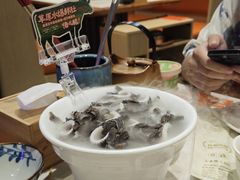 -东门口·新式老北京火锅(河西龙湖天街店)