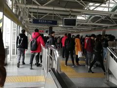 -知春路(地铁站)