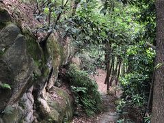 -南山植物园
