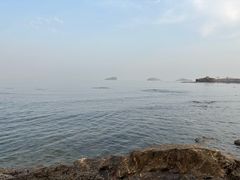 -添福来墨鱼饺子 · 海鲜东北菜(大连星海·黄浦路店)