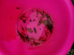 -华蓥山天意谷景区