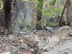 -北京鹫峰国家森林公园