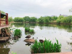 -长兴太湖图影湿地文化园