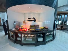 -虹桥机场国航贵宾室v8