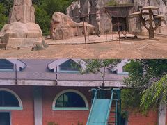 -哈尔滨北方森林动物园