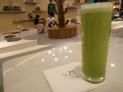 -飞行喵MR PILOT|猫舍·猫咖(静安大融城店)