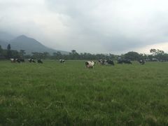 -瑞穗牧场
