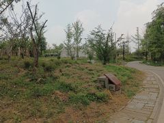 -白鹭湾湿地公园