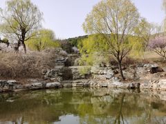 -北京西山国家森林公园