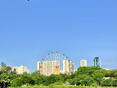 -万绿园