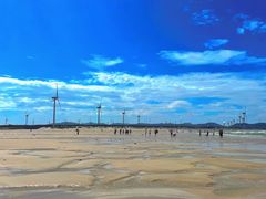 -长江澳风力发电景观区
