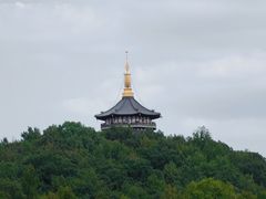 -西湖外事游船(花港观鱼码头)