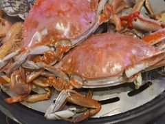 -半岛听涛蒸汽海鲜自助(K11店)