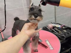 -宠福鑫康馨动物医院·骨科·眼科