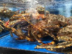 -七鲜超市(万向城店)