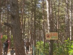 -帽儿山国家森林公园