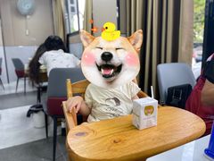 -迎三江菌汤兔(星桥街西段店)