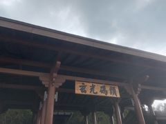 -金盆阿嬷香菇茶叶蛋(玄光店)