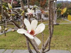 -广东温泉宾馆