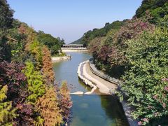 -广州市帽峰山景区
