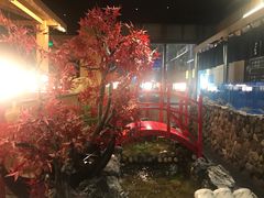 -綱元·海鲜豆捞(明州里店)