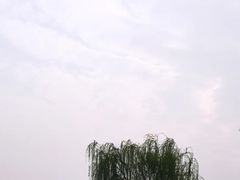 -西太湖揽月湾