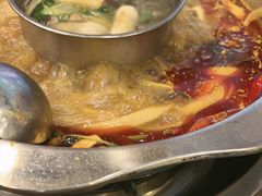 -金鼎雪山牦牛杂火锅(理县总店)