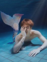 -玛奇朵婚纱摄影