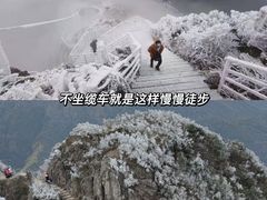-金子山原生态旅游风景区
