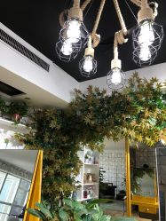 -明洞造型精品烫染