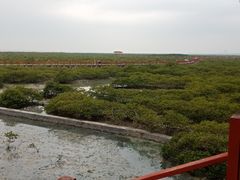 -北海金海湾红树林生态旅游区