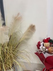 -MONICABOX美甲美睫