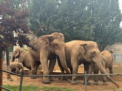 -石家庄市动物园