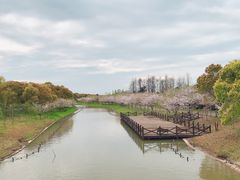 -上海海湾国家森林公园