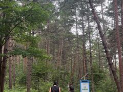 -帽儿山国家森林公园