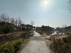 -春花秋色城市公园